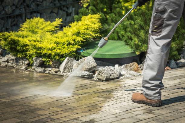 Best Animal Enclosure Cleaning  in Pocomoke City, MD